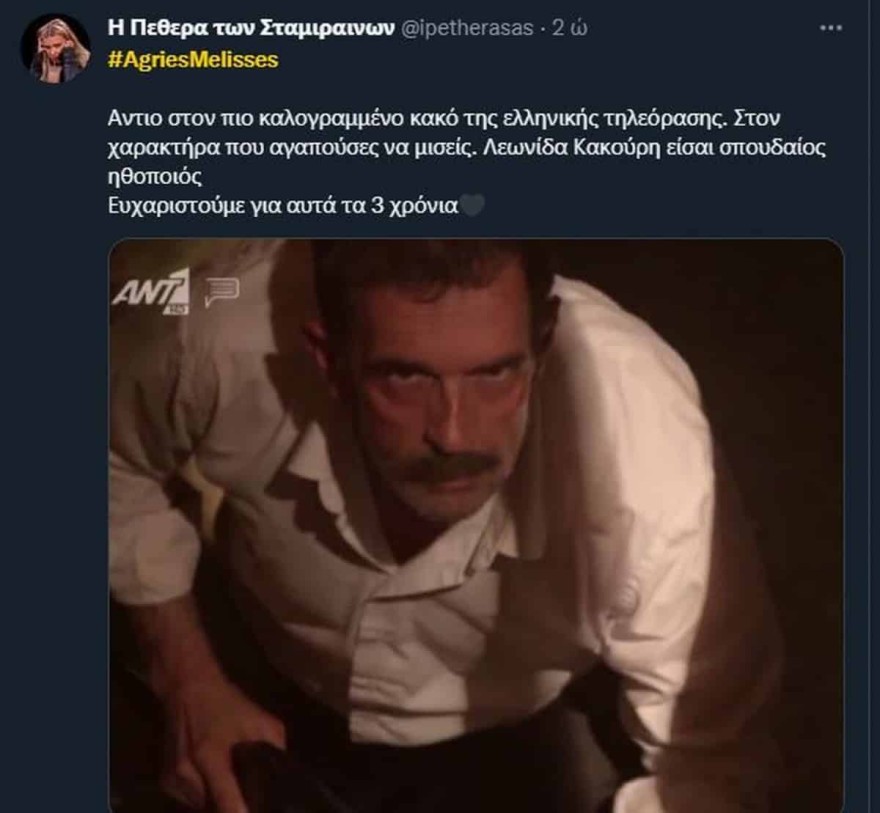 Άγριες Μέλισσες - τέλος