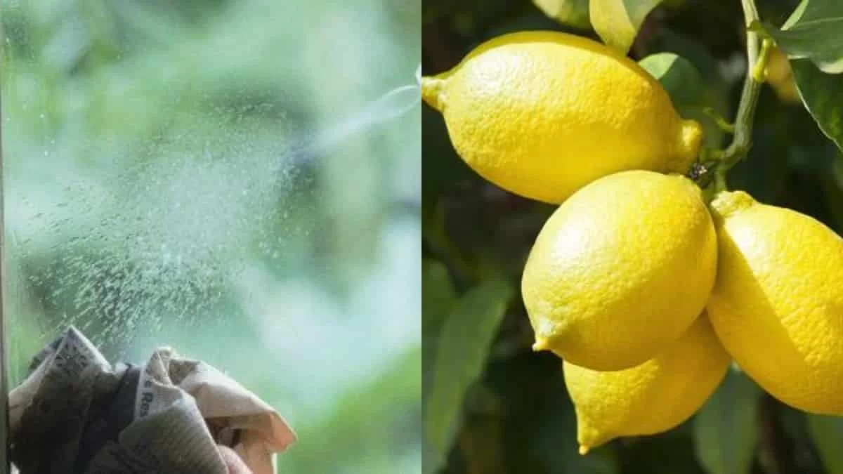 Θέλετε πεντακάθαρους καθρέφτες στο σπίτι σας; Το μυστικό κόλπο με λεμόνι και...