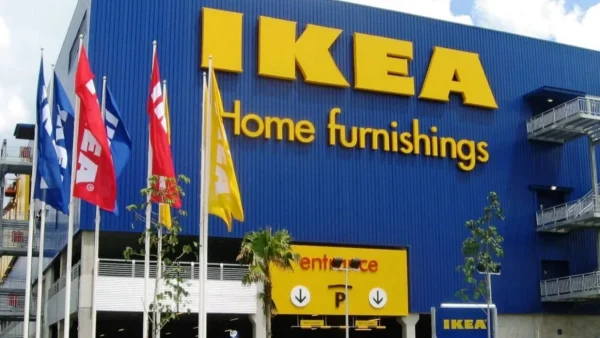 Ανάλογα πόσα θα έχεις μέσα στο σπίτι θα φέρει λεφτά ή γονιμότητα - Το φυτό που θα βρεις στα ΙΚΕΑ με 0,99 ευρώ