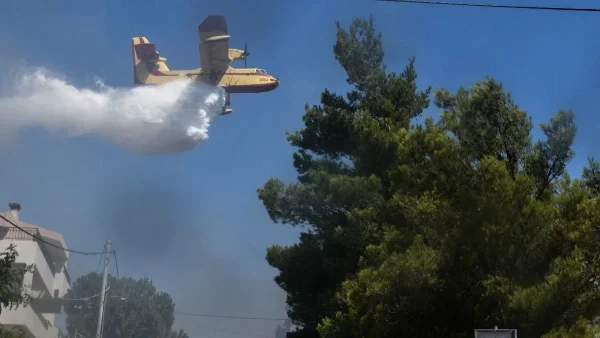 Φωτιά στην Λαχαναγορά του Ρέντη