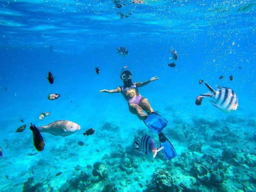 Ευγενία Σαμαρά - Αφρική