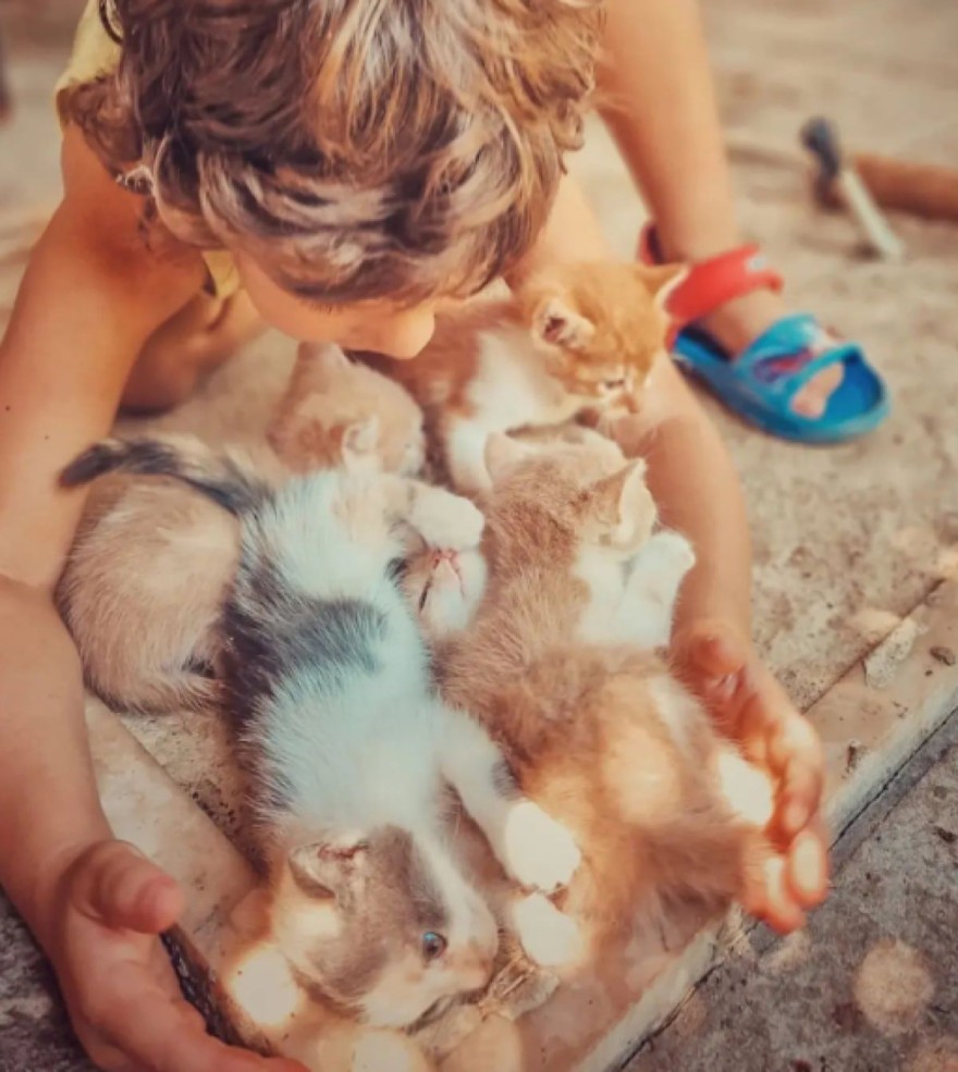 Τζένη Θεωνά - γιος