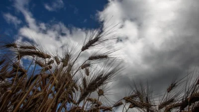 Άστατος ο καιρός σήμερα 7/8 - Βροχές και καταιγίδες σε πολλές περιοχές