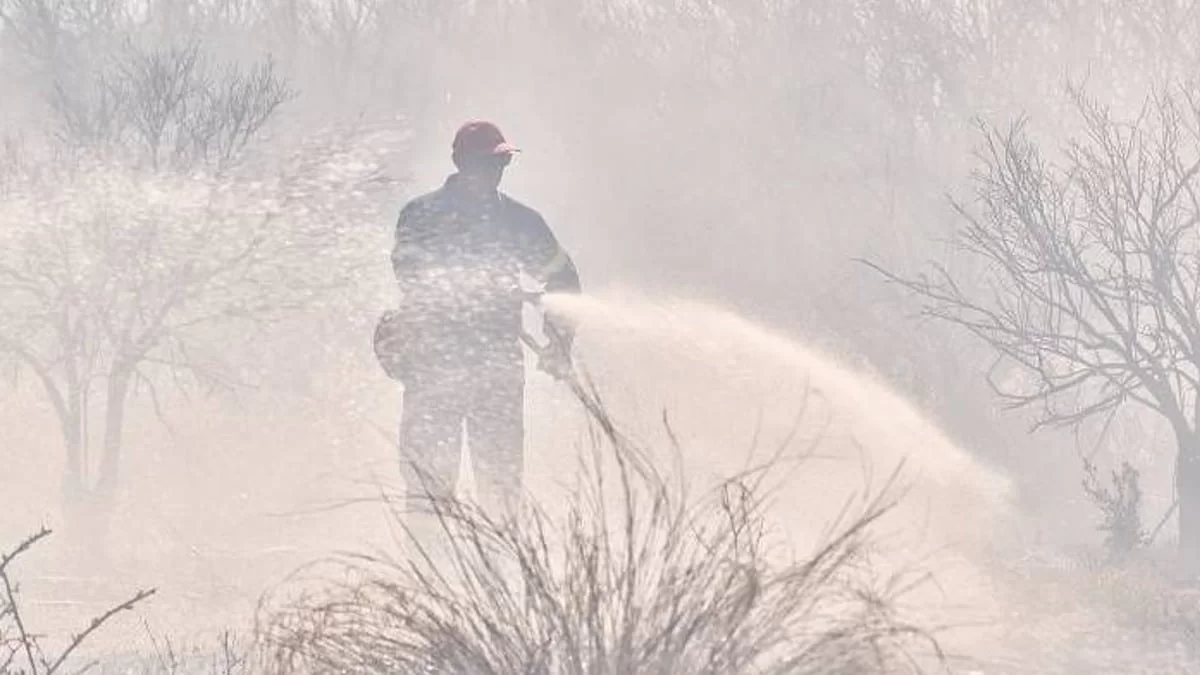 Συναγερμός στην Ηλεία - Φωτιά σε αγροτοδασική έκταση