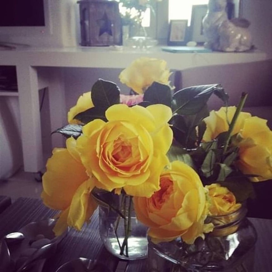 Σοφία Αλιμπέρτη Πάρος