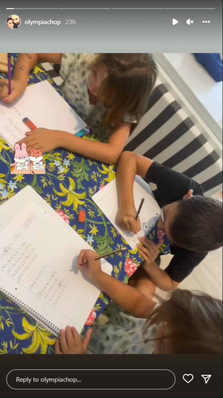 Η ανάρτηση της Ολυμπίας Χοψονίδου 