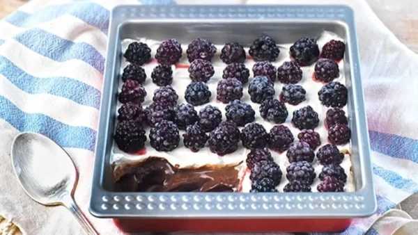 Με βατόμουρα και σοκολάτα - Κάνει θραύση αυτό το γλυκό ψυγείου της Αργυρώς Μπαρμπαρίγου