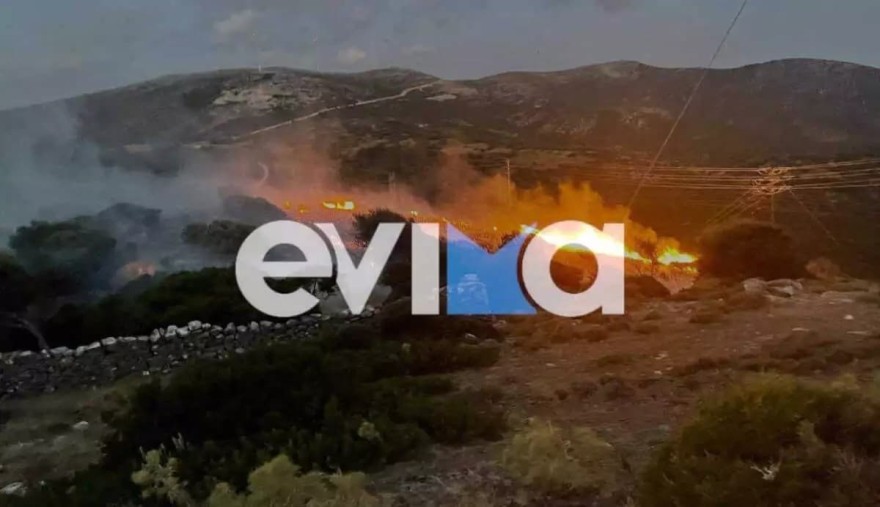 Φωτιά στην Εύβοια
