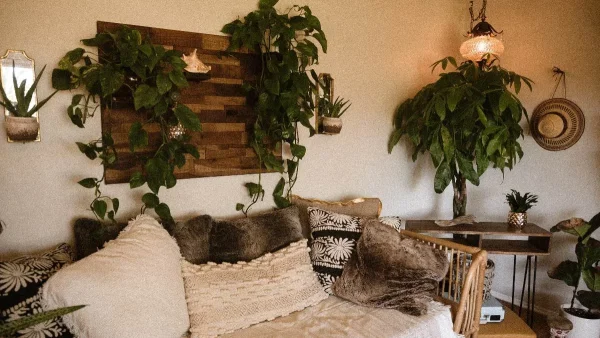 Θα σας γλιτώσουν από πολύ ρεύμα - Τα φυτά που λειτουργούν σαν κλιματιστικό ή ανεμιστήρα