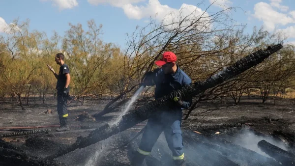 Φωτιά στη Θάσο: Μήνυμα εκκένωσης στα Κοίνυρα