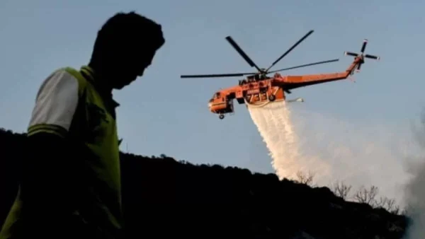 Φωτιά σε δασική έκταση στην Αχαία