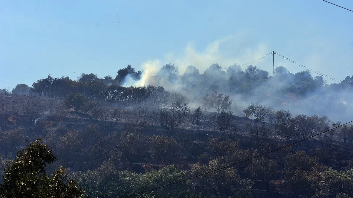 Φωτιά σε χωριό της Αρκαδίας