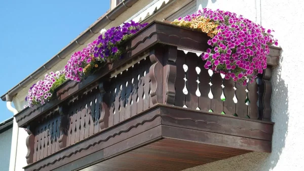 Αν το βρεις σε ανθοπωλείο αγόρασε το αμέσως - Το φυτό που θα φέρει χρήματα στο σπίτι σου