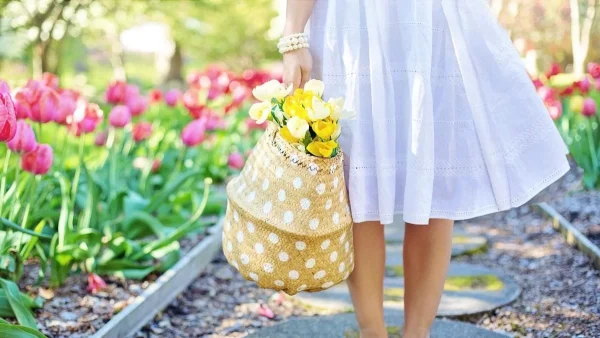 Μπορεί να προκαλέσει προσωρινή τύφλωση αν... - Το φυτό που έχεις σπίτι σου και πρέπει να κρατήσεις μακριά σου