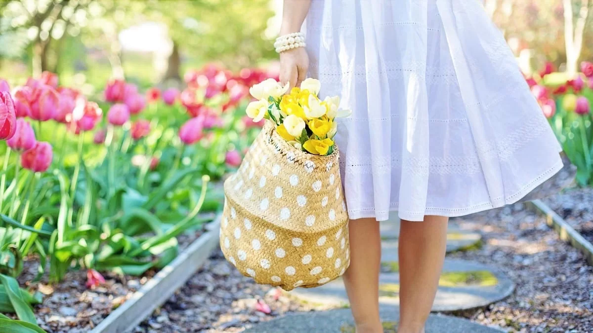 Μπορεί να προκαλέσει προσωρινή τύφλωση αν... - Το φυτό που έχεις σπίτι σου και πρέπει να κρατήσεις μακριά σου