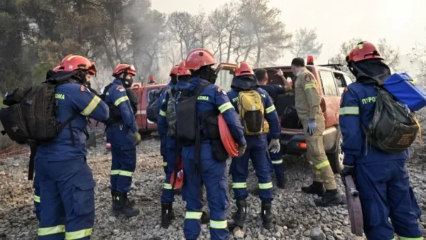 Φωτιά στο Δίστομο Βοιωτίας
