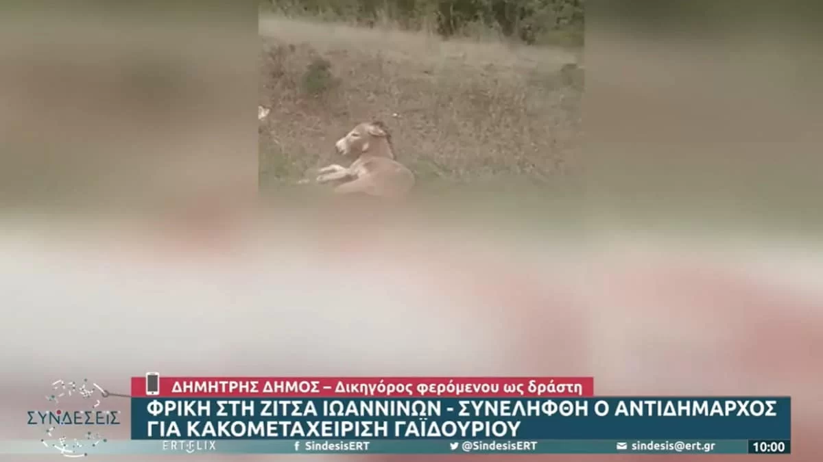 Κακοποίηση γαϊδάρου στη Ζίτσα: "Τα γυρίζει" ο αντιδήμαρχος στις νέες του δηλώσεις - Τι υποστήριξε