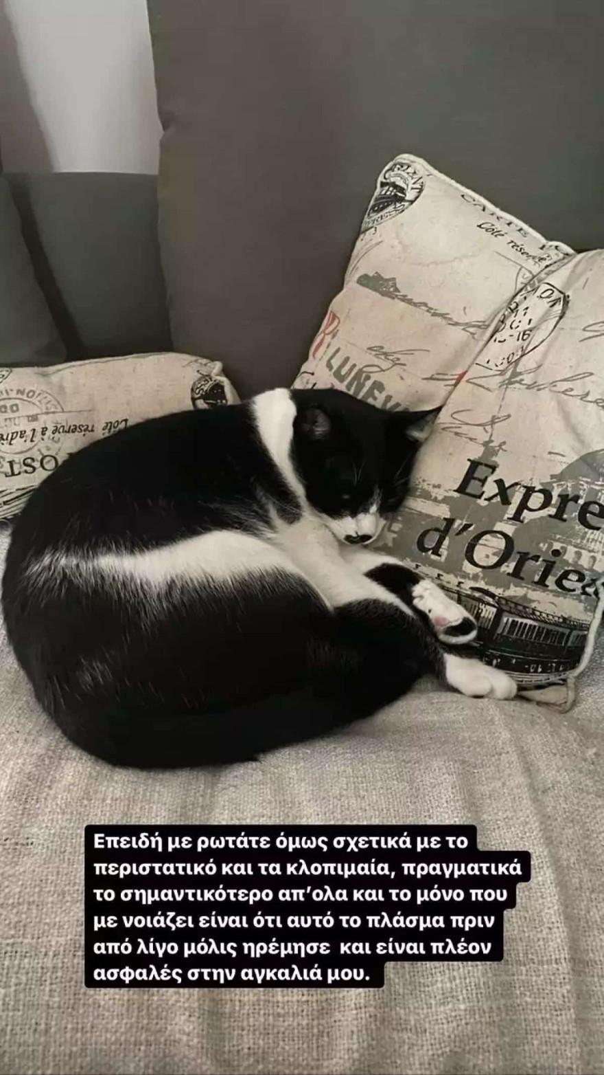 Η γάτα της Σαλαγκούδη είναι πλέον ασφαλής στην αγκαλιά της
