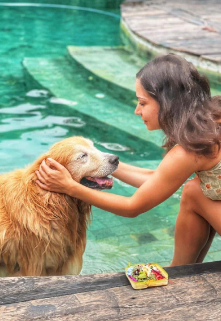 Κατερίνα Γερονικολού