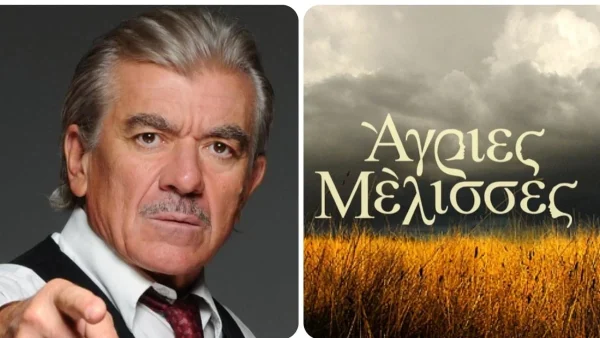 ''Ουσιαστικά ήταν μία καθημερινή σαπουνόπερα'' - Ο Γιαννόπουλος παίρνει θέση για τις «Άγριες Μέλισσες»