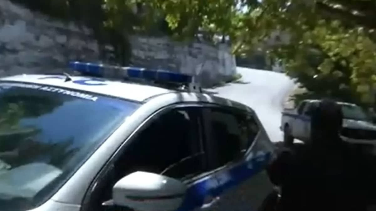 Κακοποίηση ζώου στα Ιωάννινα: Δεν έχει τέλος η φρίκη - Όσα δήλωσε ο κτηνίατρος για τον βασανισμό