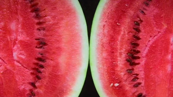 Όλοι θέλουν την καρδιά αλλά... - Αυτό είναι το πιο θρεπτικό μέρος του καρπουζιού