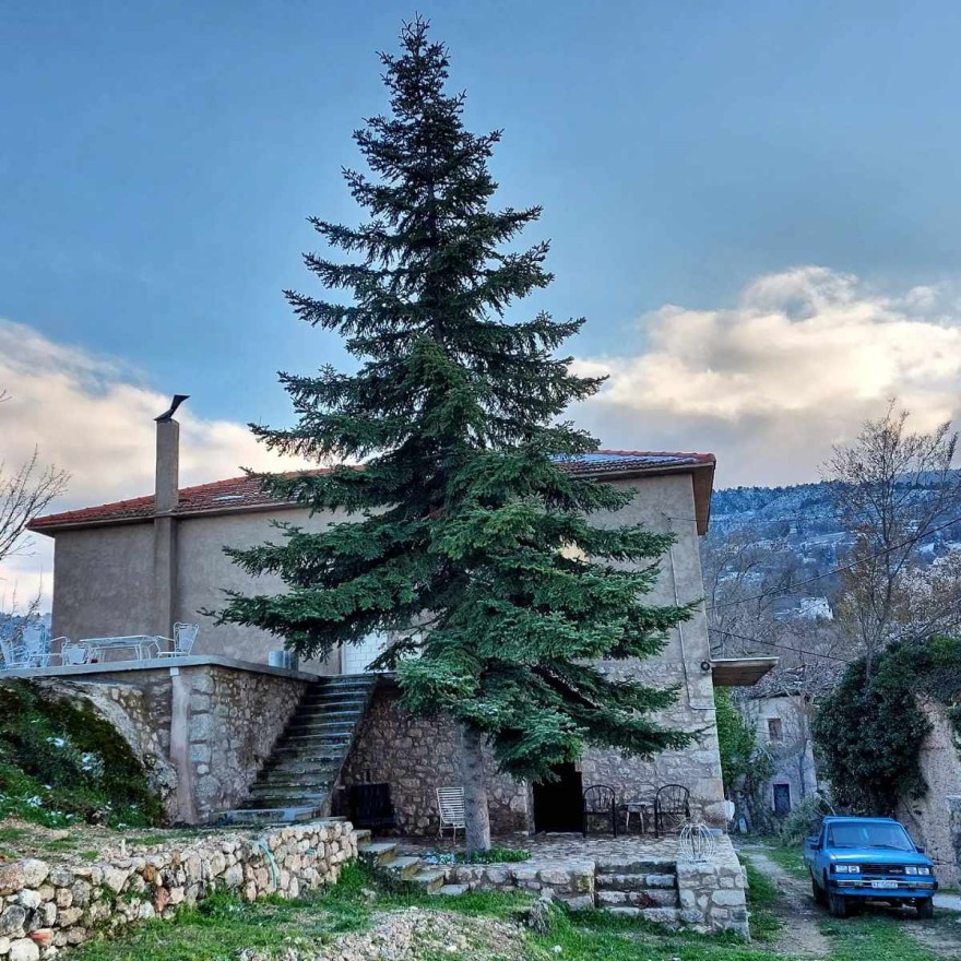 Το εξοχικό της Μαρίας Λεκάκη 