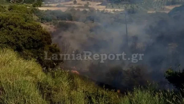 Φωτιά στο Λογγίτσι Φθιώτιδας