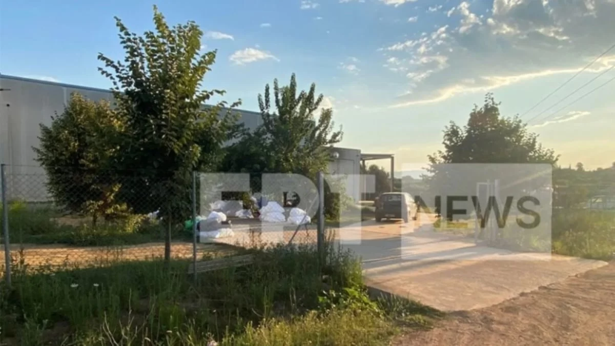 Μεσσήνη: «Την βρήκα να κλαίει και...» - Σοκάρει ο εργοδότης της 49χρονης