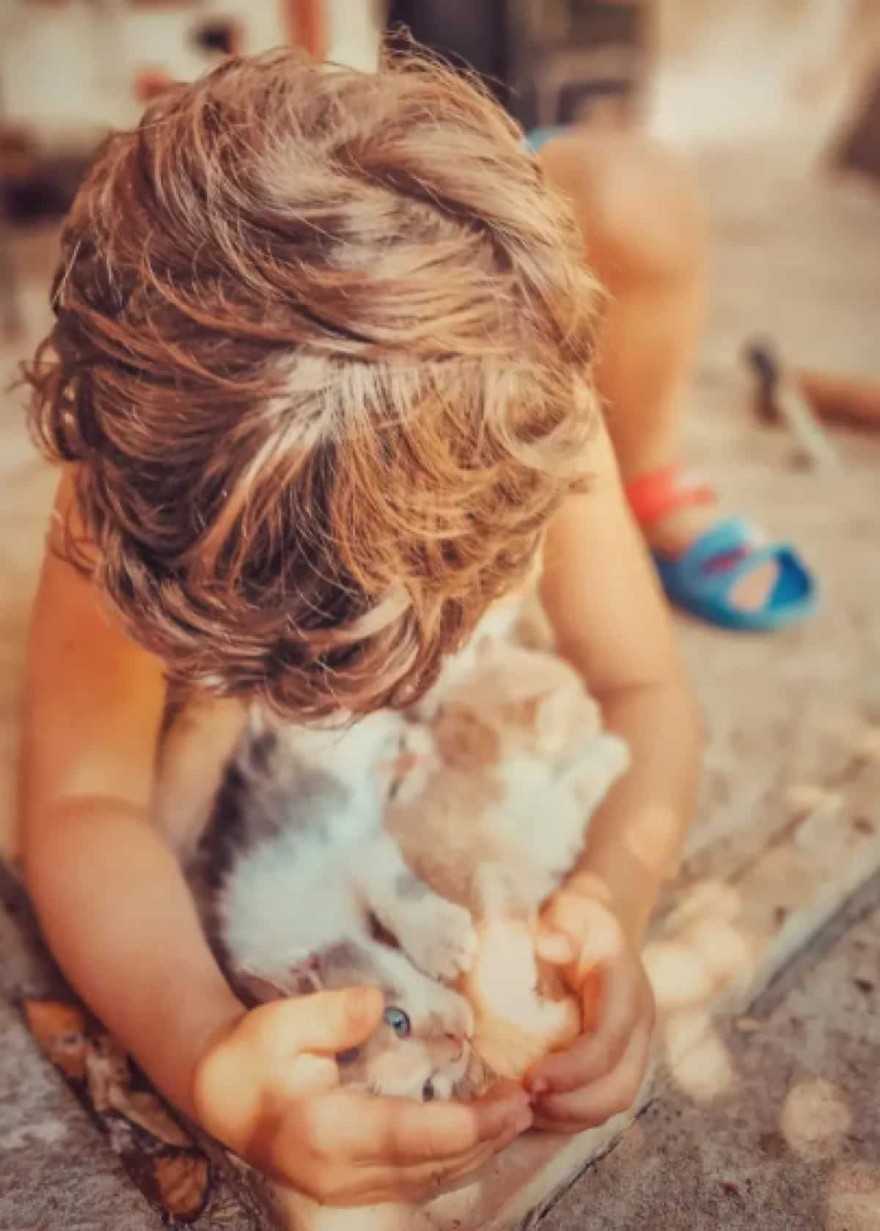 Τζένη Θεωνά - Αρίωνας