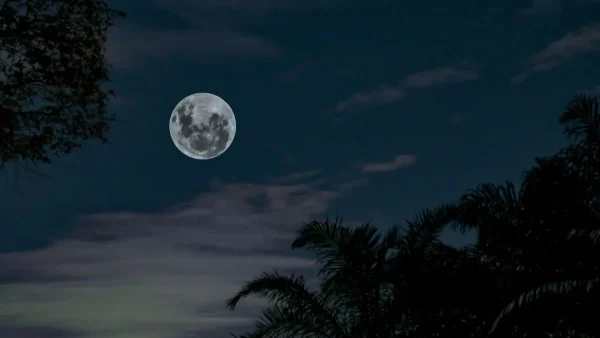 "Με τη Νέα Σελήνη στην Παρθένο..." - Ποια ζώδια πρέπει να προσέξουν λάθος επιλογές και κινήσεις