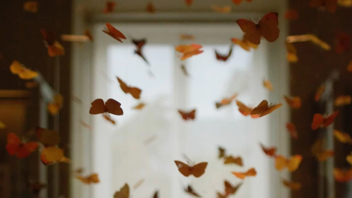 Η Αφροδίτη του Αυγούστου: Προσοχή! Από 11/8 σε Καρκίνους και...