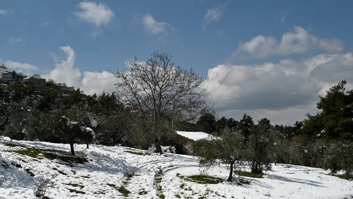 Κρύο και χιόνια μέχρι και τον Μάϊο - Τι προβλέπουν τα Μερομήνια για τον χειμώνα του 2023