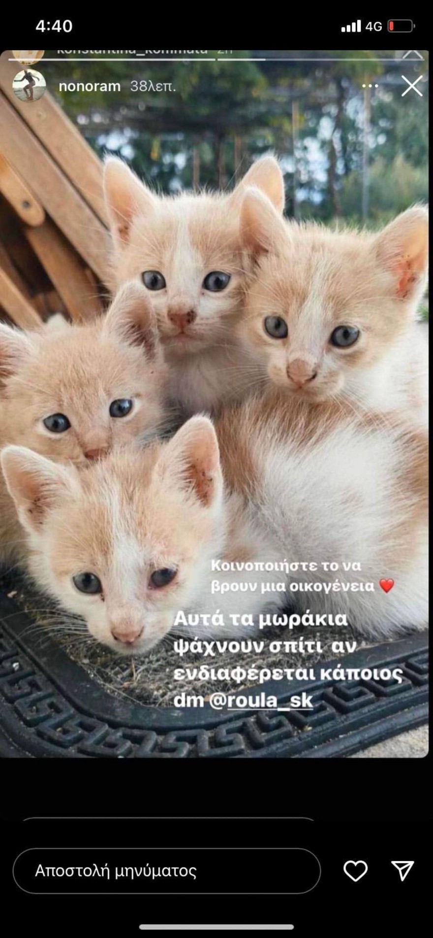 Η ανάρτηση της Ελεονώρας Μελέτη στο instagram 