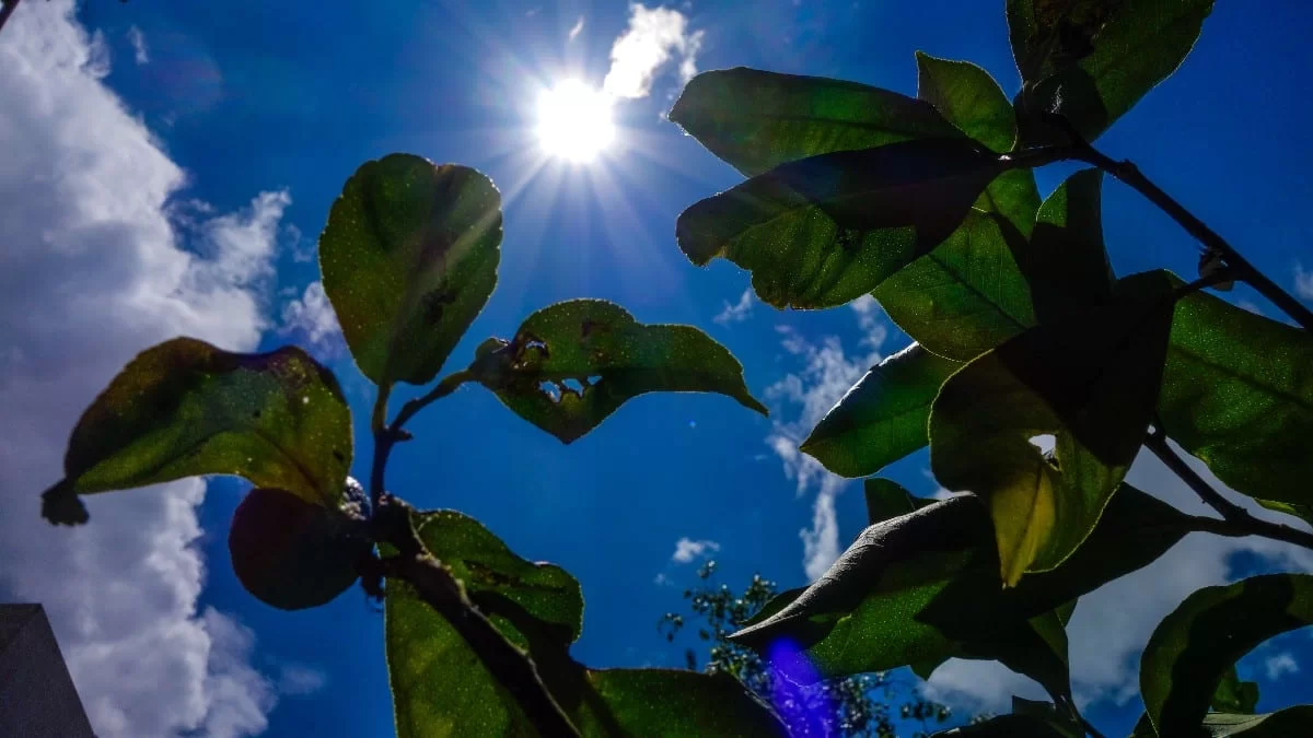 Καιρός 29/9: Συννεφιά με ζέστη σήμερα - Μέχρι πόσο θα φτάσει η θερμοκρασία