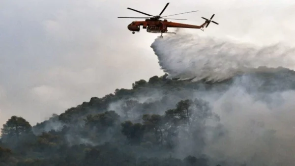 Φωτιά στην Αφροξυλιά Ναυπακτίας