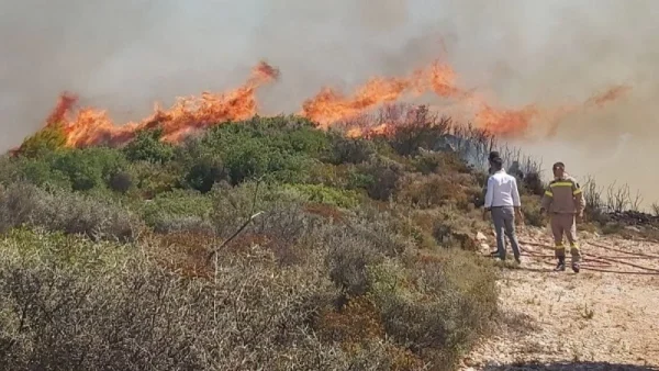 Φωτιά στη Ναύπακτο