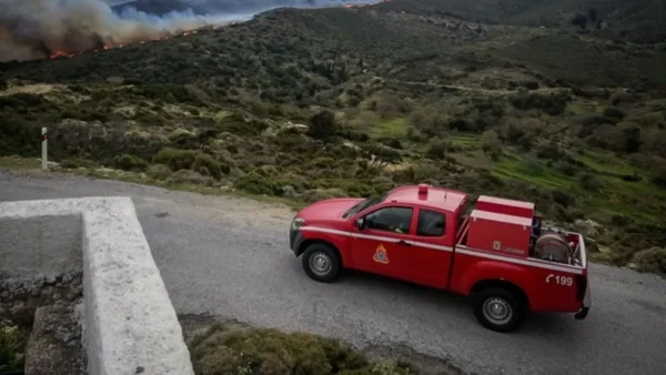 Φωτιά στη Σπιάντζα Πύργου