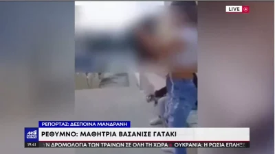 Σάλος με τη μαθήτρια που κλώτσησε γατάκι στην Κρήτη - Το τσουχτερό πρόστιμο που θα κληθεί να πληρώσει