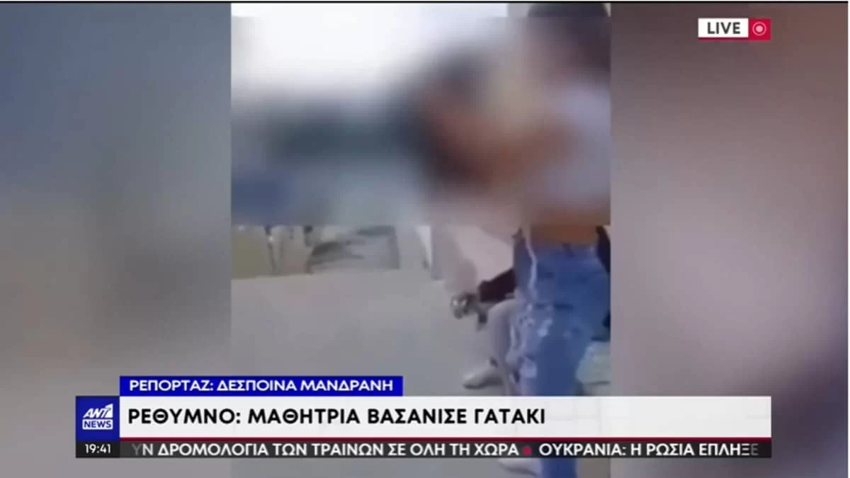 Σάλος με τη μαθήτρια που κλώτσησε γατάκι στην Κρήτη - Το τσουχτερό πρόστιμο που θα κληθεί να πληρώσει