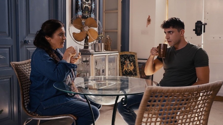 Γη της ελιάς mega