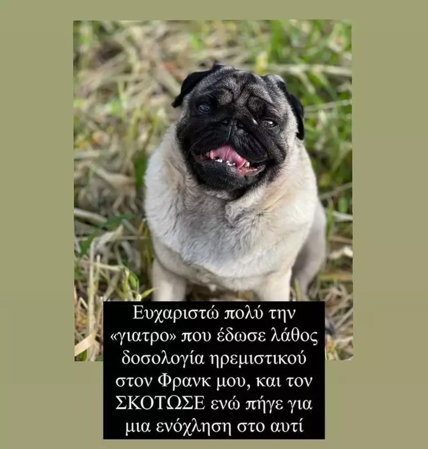 Τζέιμς Καφετζής σκύλος