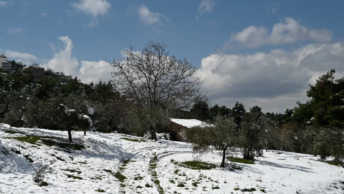 Τα Μερομήνια "μίλησαν" - Κρύος και με χιόνια σε όλη την χώρα προβλέπεται ο φετινός χειμώνας