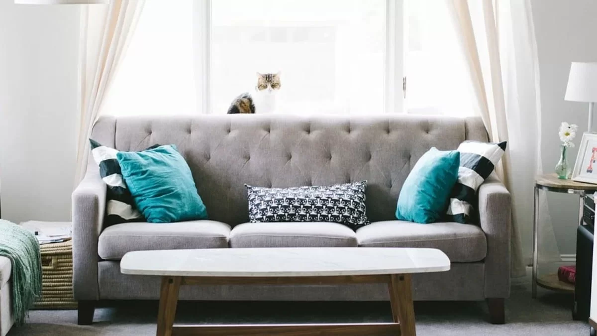 Καθάρισε τον καναπέ σου με λίγη μαγειρική σόδα - Θα φύγει κάθε ίχνος λεκέ