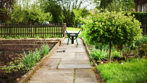 Προσοχή αν φυτρώσει στον κήπο σας ξεριζώστε το - Το φυτό που μπορεί να προκαλέσει εσωτερική αιμορραγία