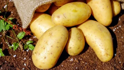 Έτσι θα διατηρηθούν περισσότερο καιρό φρέσκες οι πατάτες - Το μυστικό είναι στο...