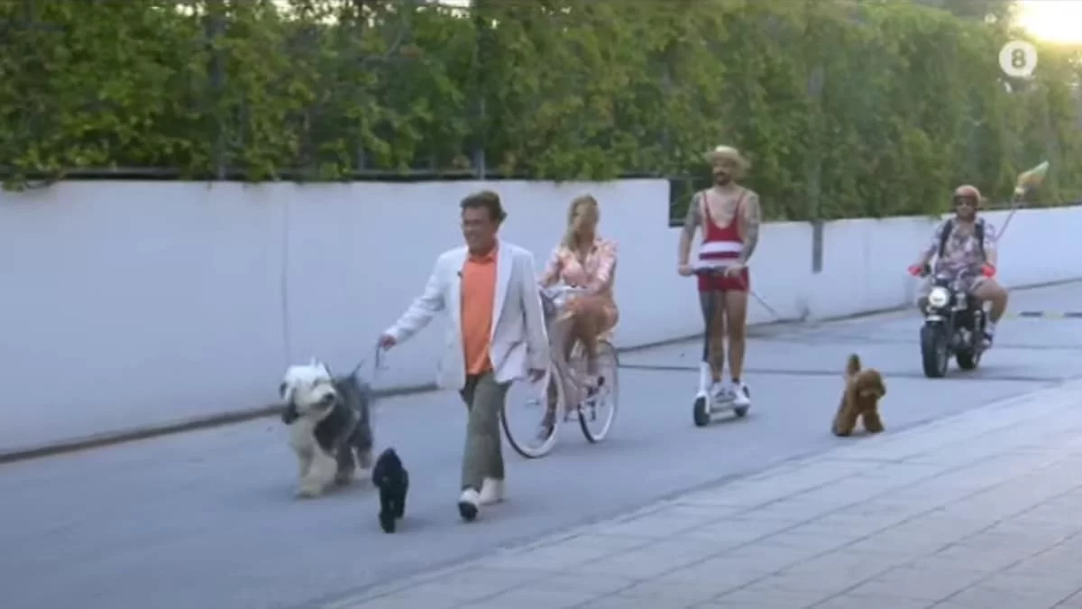 Πρεμιέρα Happy Day 5/9: Αδυνατισμένη, ντυμένη στα λευκά & με νέο μαλλί η Σταματίνα Τσιμτσιλή