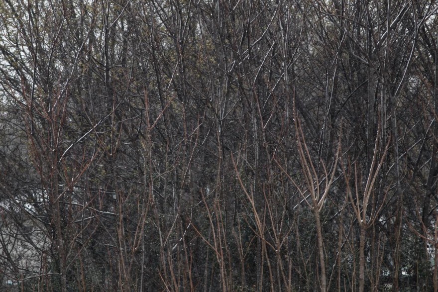 Κρύο και χιόνι προβλέπουν τα Μερομήνια