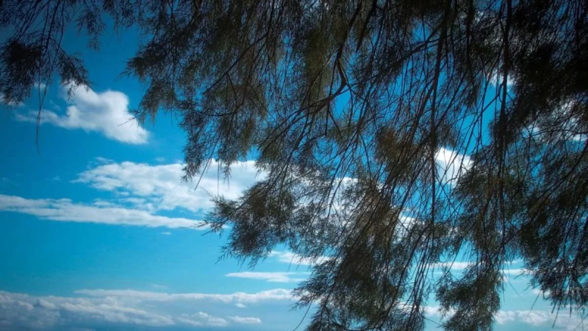 Καιρός (20/10): Μικρή άνοδος της θερμοκρασίας - Πού θα πέσουν βροχές