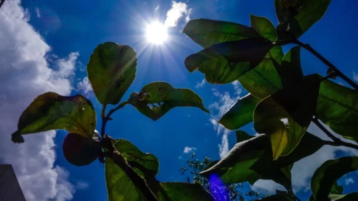Καιρός (19/10): Συνεχίζονται και σήμερα οι βοριάδες με άνοδο της θερμοκρασίας